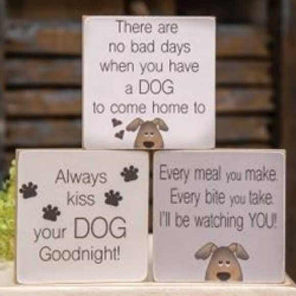 Other - NWT Kiss Dog Blocks Set/3